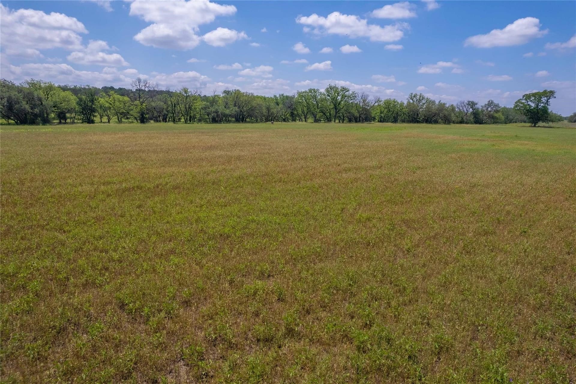 52.78 acres in Mills County gallery image 3