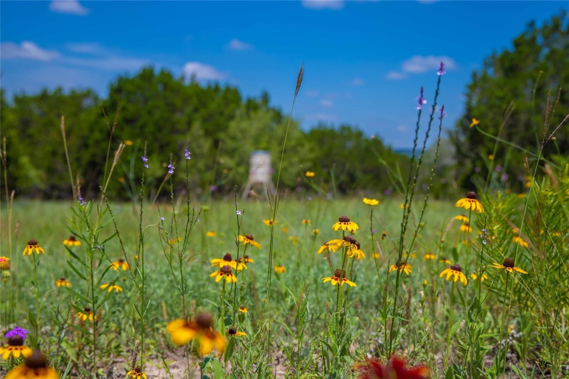 52.78 acres in Mills County - photo 13