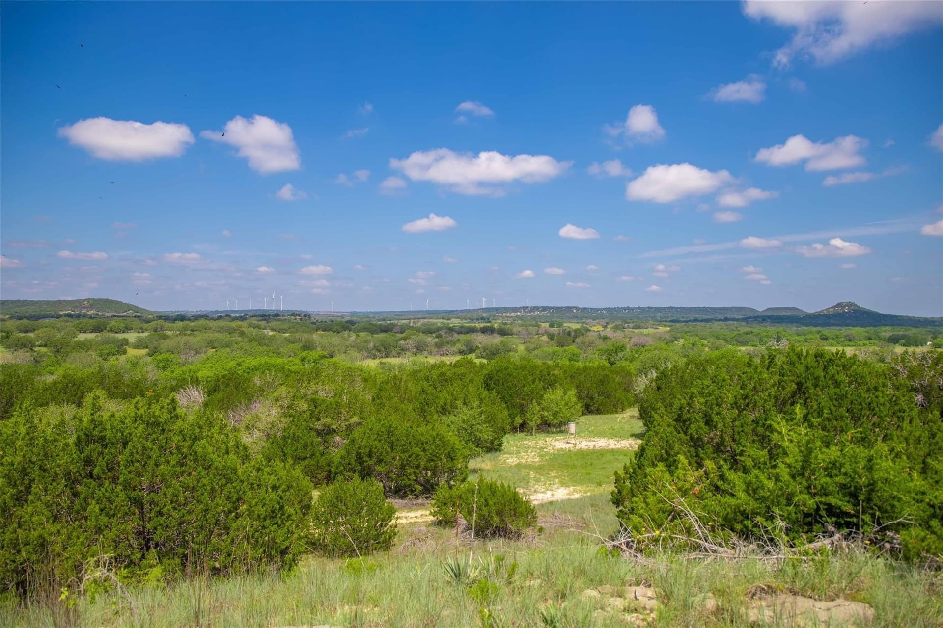52.78 acres in Mills County