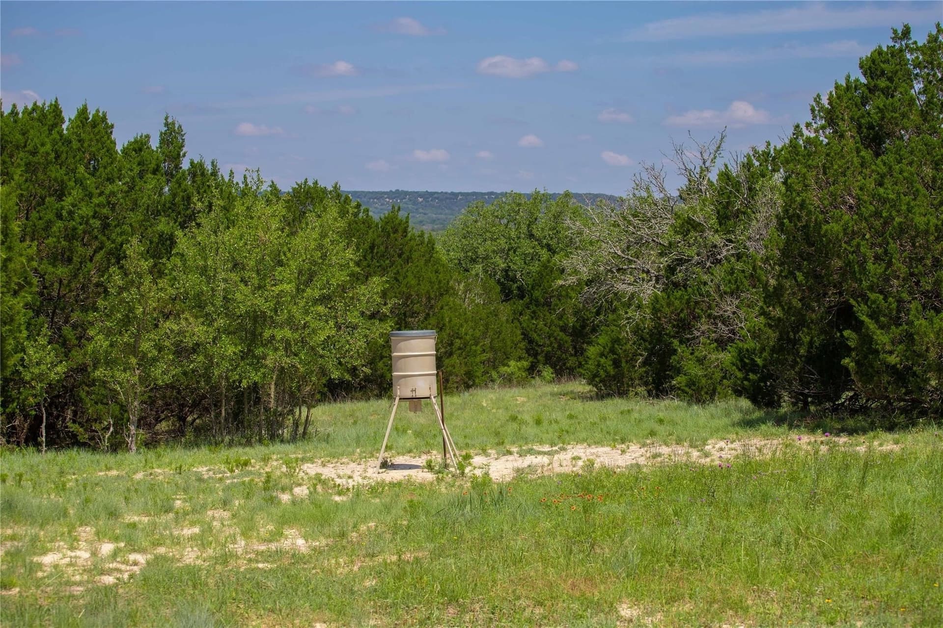 52.78 acres in Mills County - photo 7