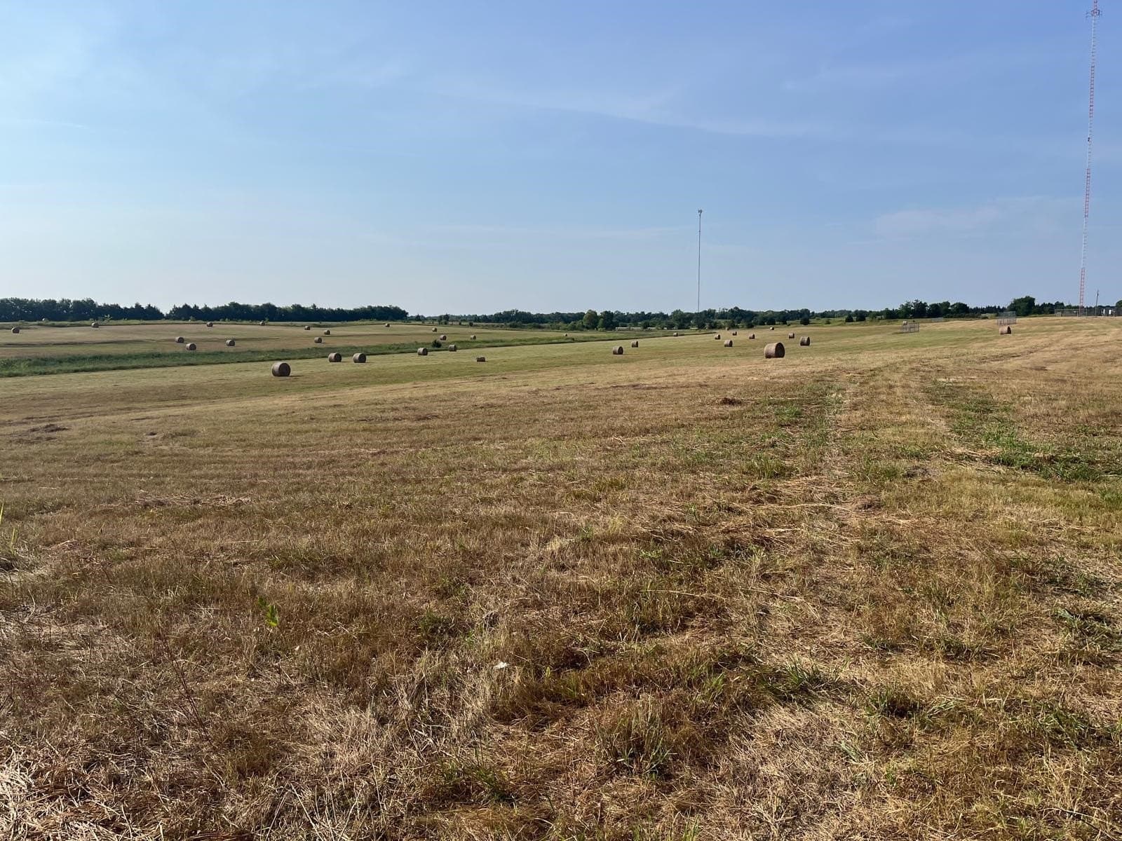 51.24 acres in Fannin County - photo 10