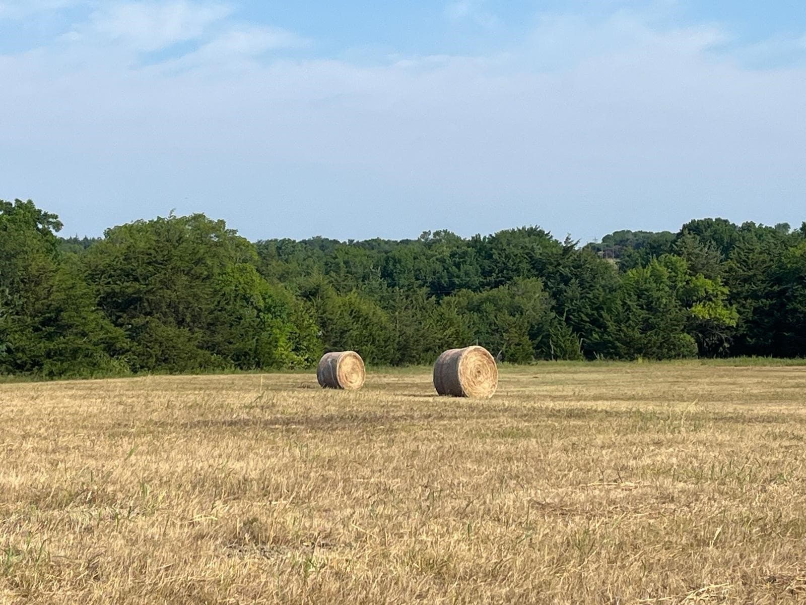 51.24 acres in Fannin County - photo 15