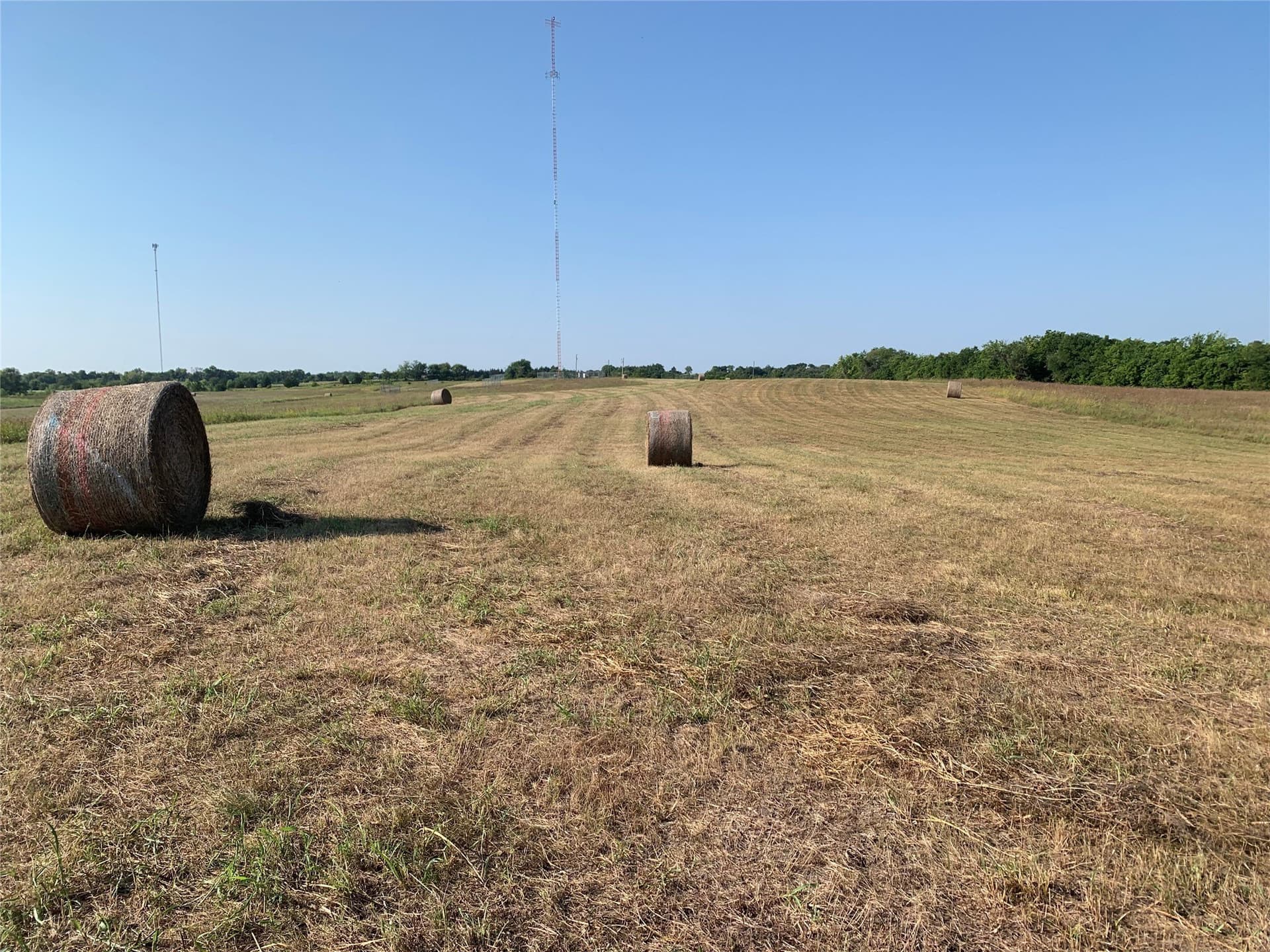 51.24 acres in Fannin County - photo 6