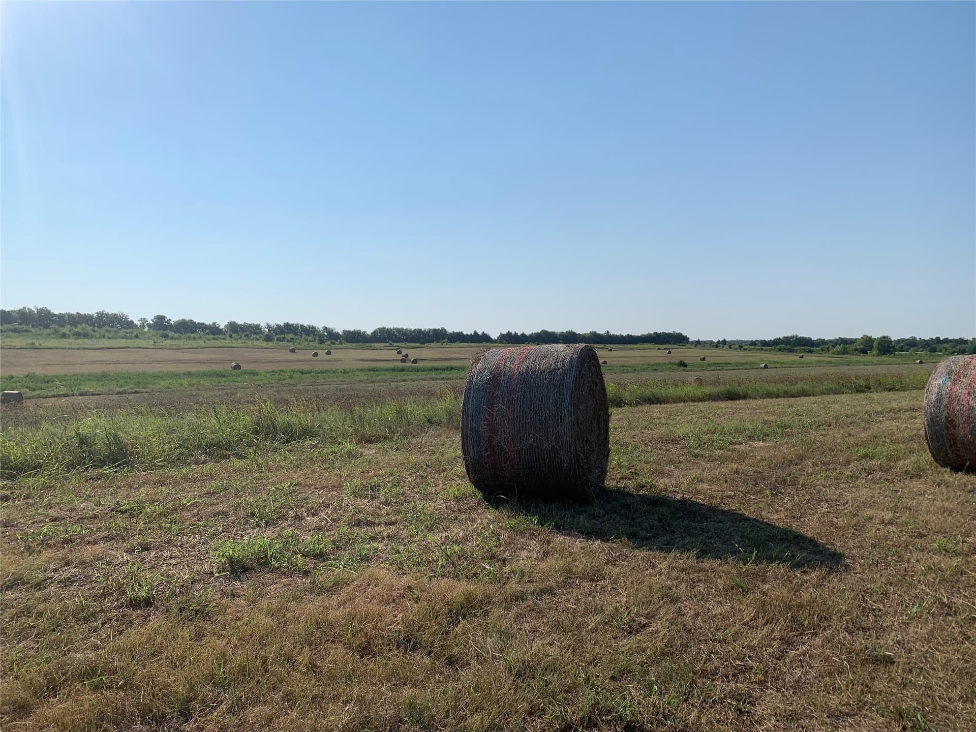 51.24 acres in Fannin County - photo 7