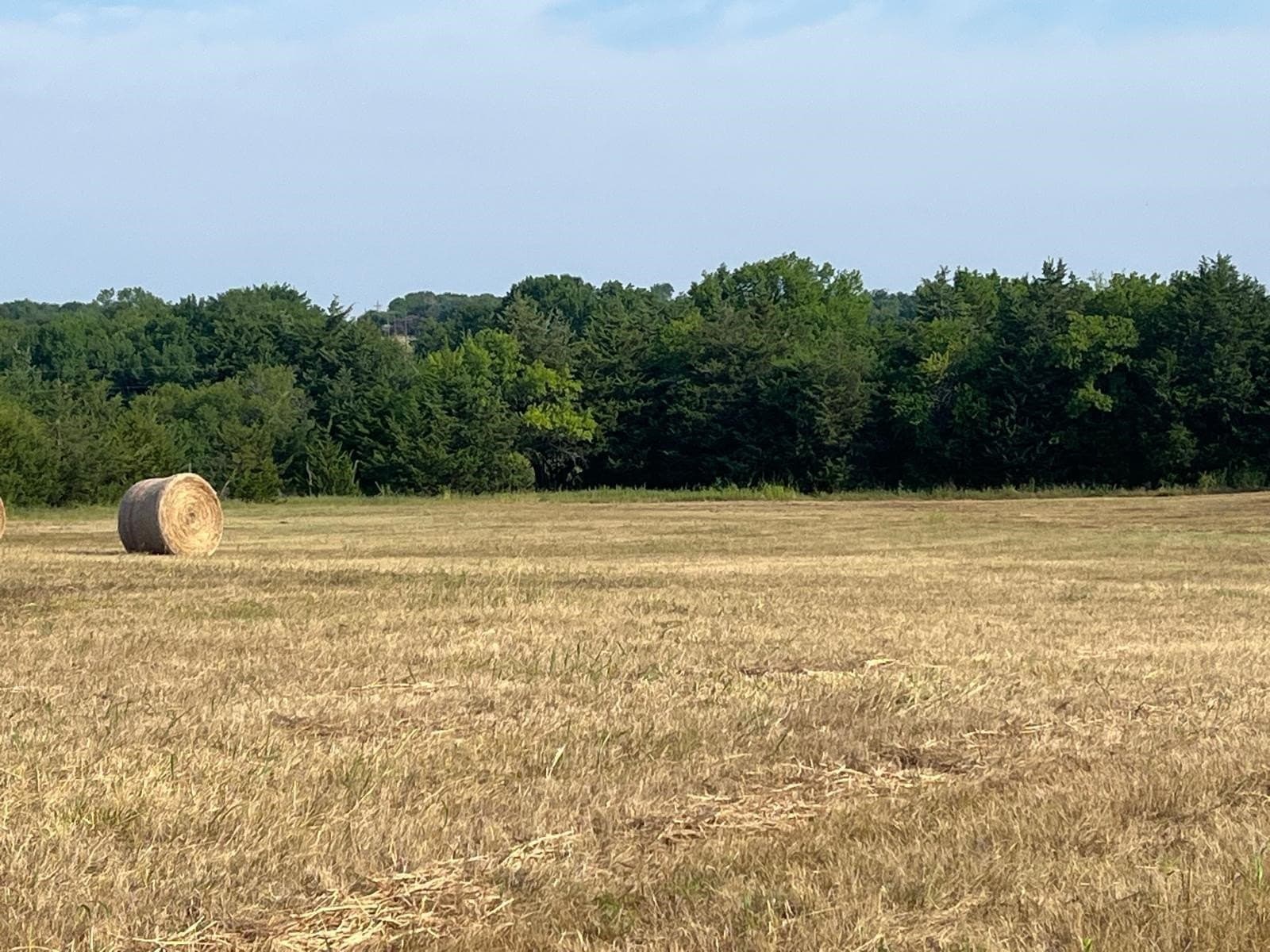 51.24 acres in Fannin County - photo 14