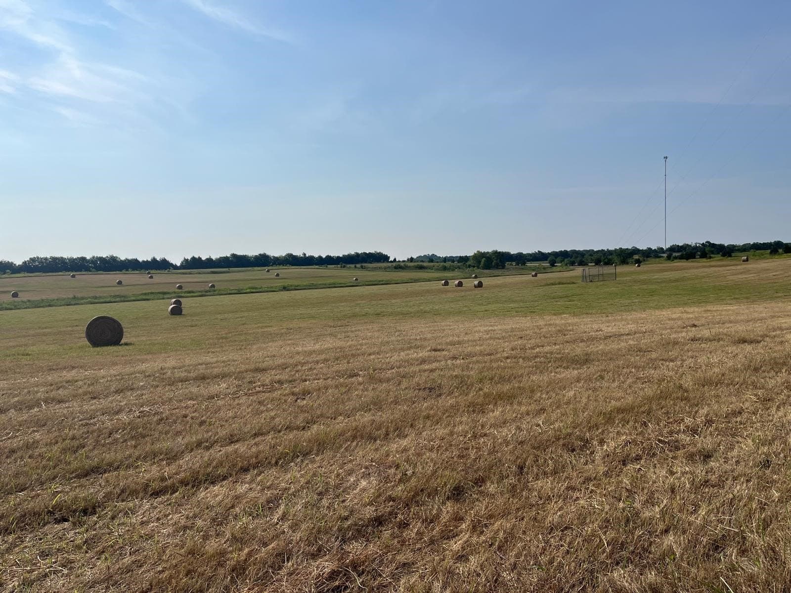 51.24 acres in Fannin County - photo 18