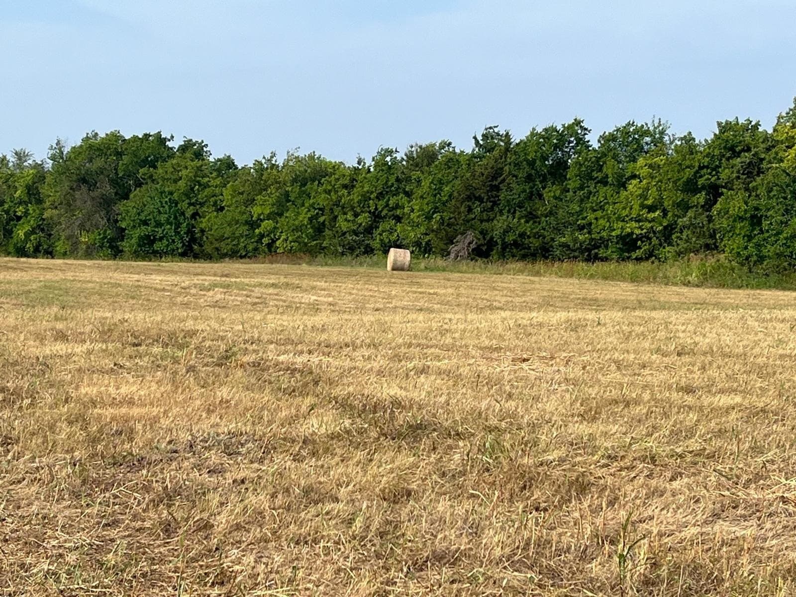 51.24 acres in Fannin County - photo 12