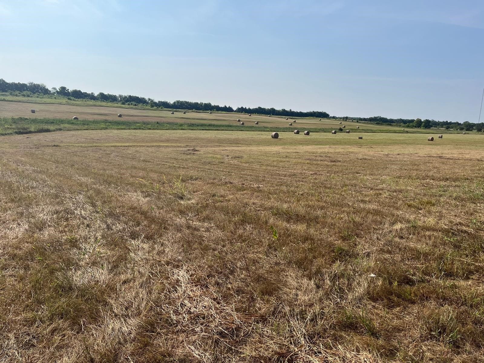 51.24 acres in Fannin County - photo 9