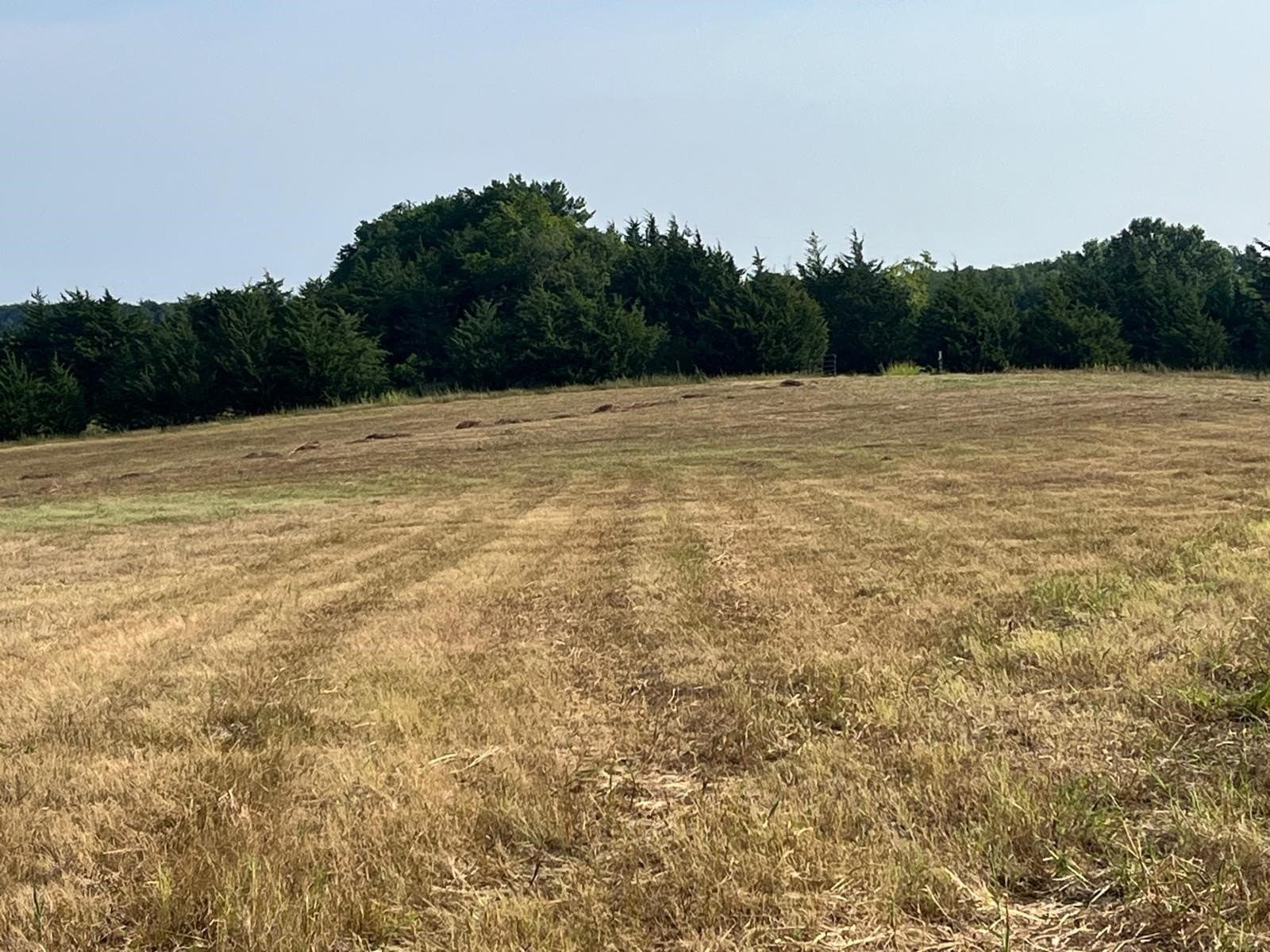 51.24 acres in Fannin County - photo 16