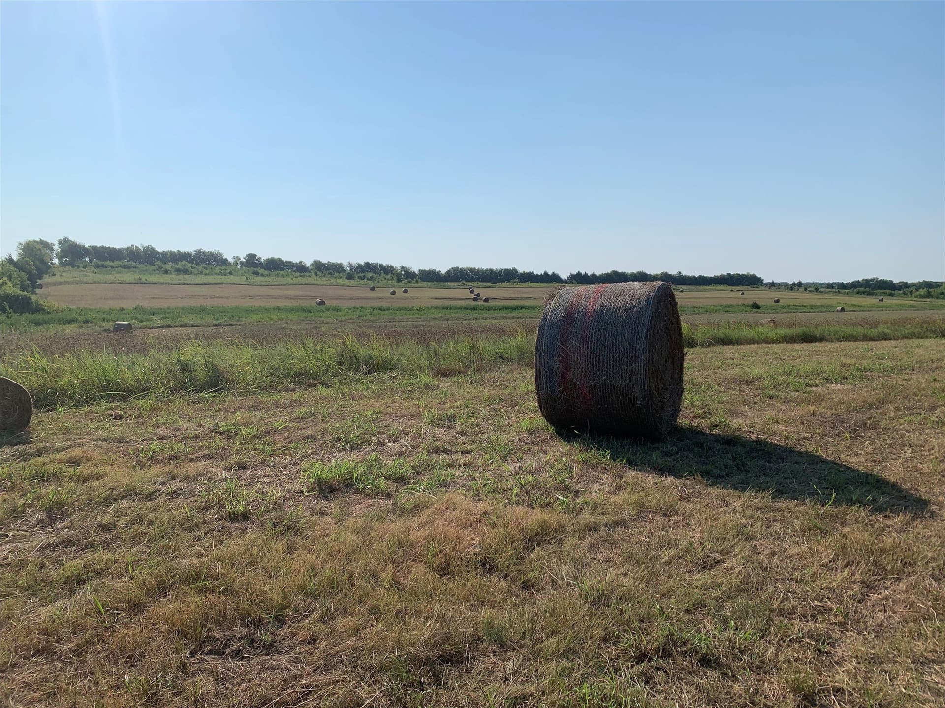 51.24 acres in Fannin County - photo 8