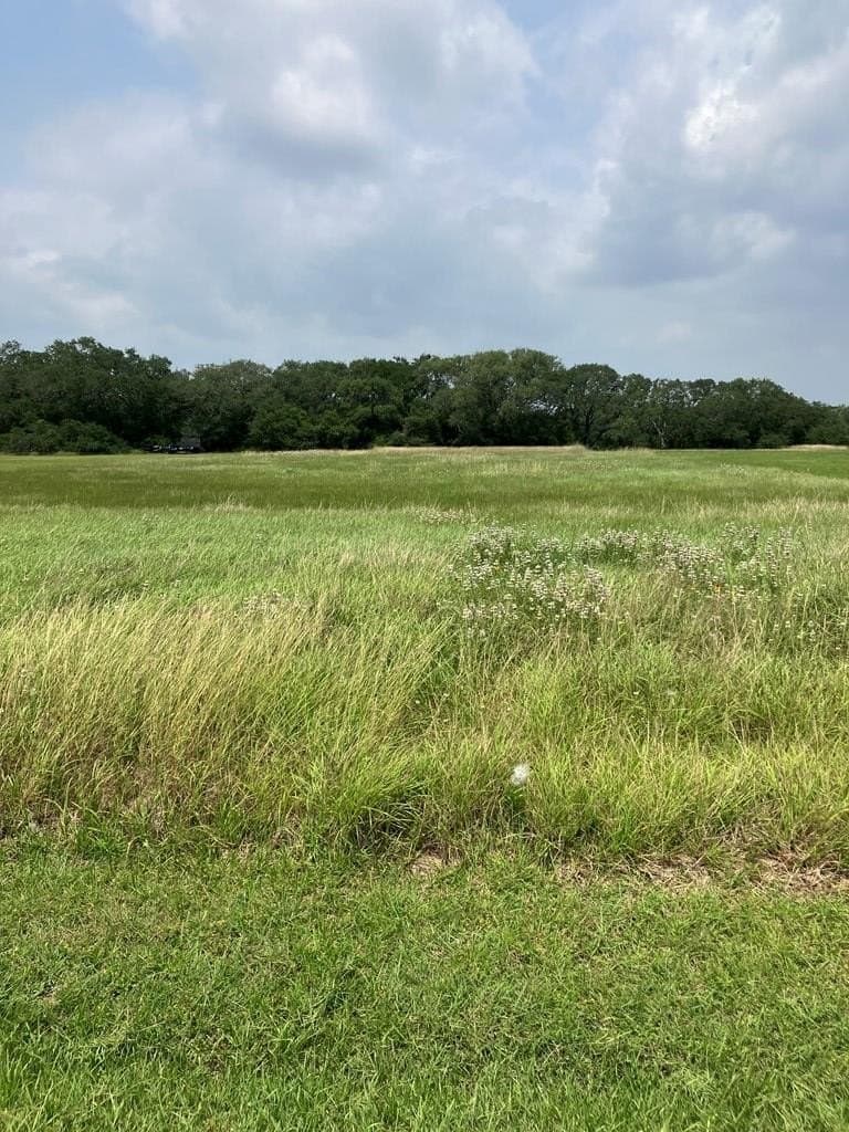 1 acres in Texas County gallery image 2