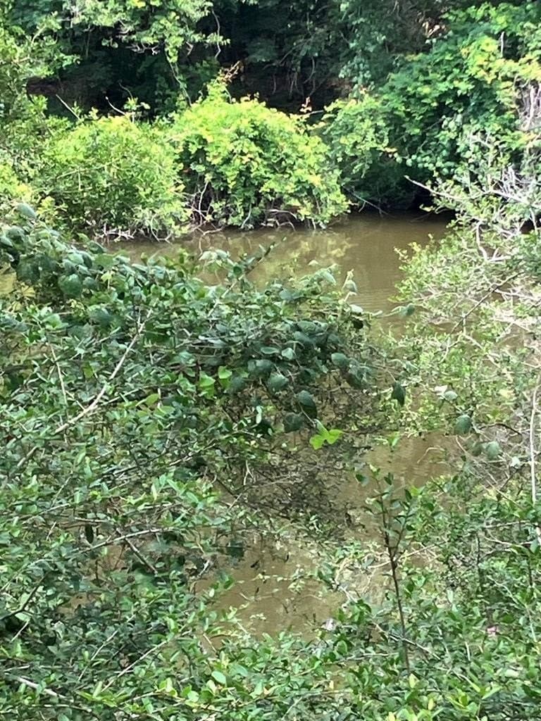 1 acres in Texas County gallery image 3