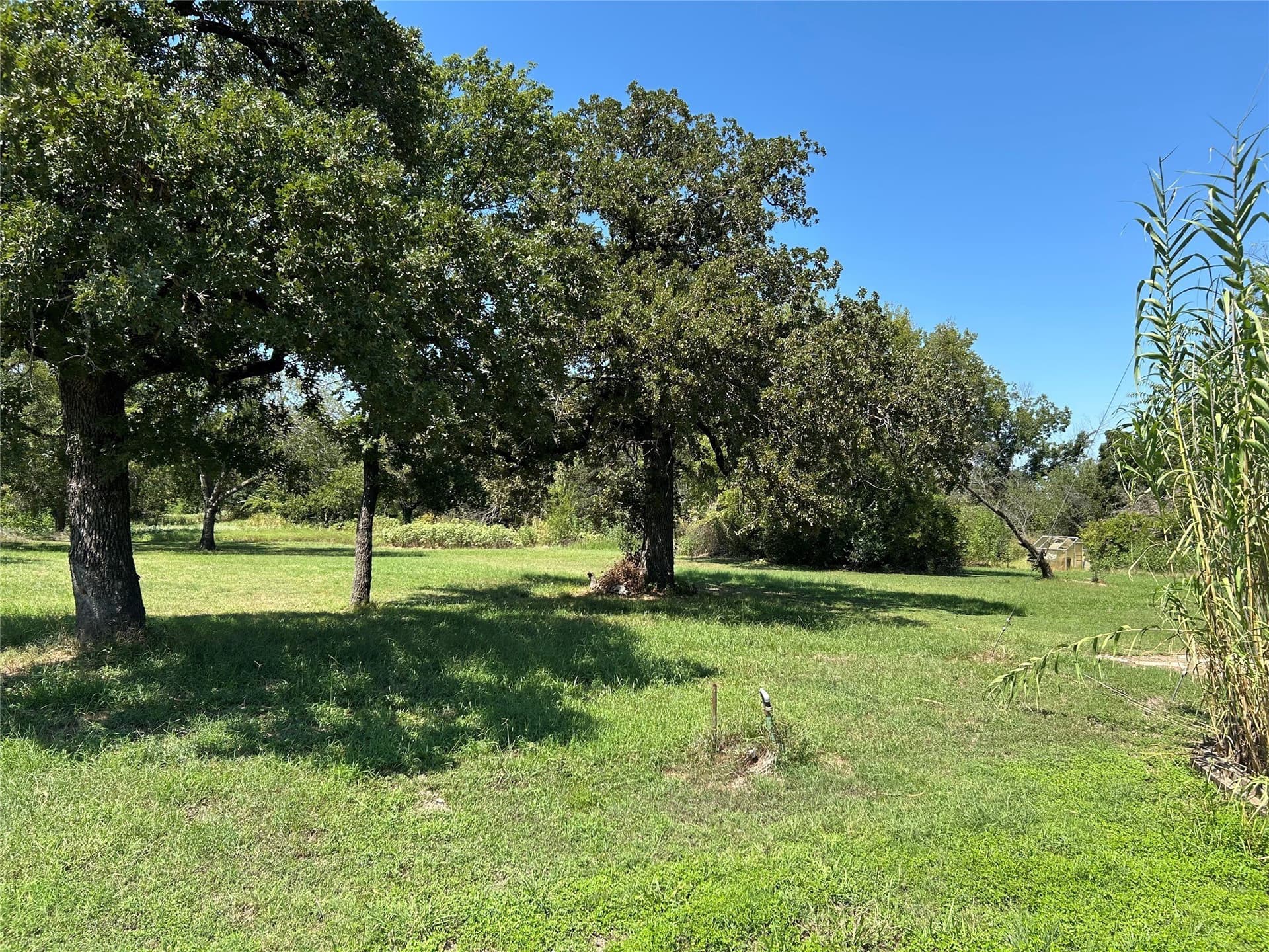 13.43 acres in Wise County - photo 9