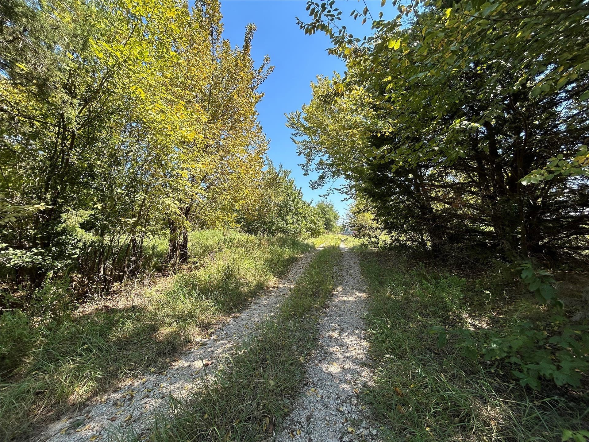 13.43 acres in Wise County - photo 6