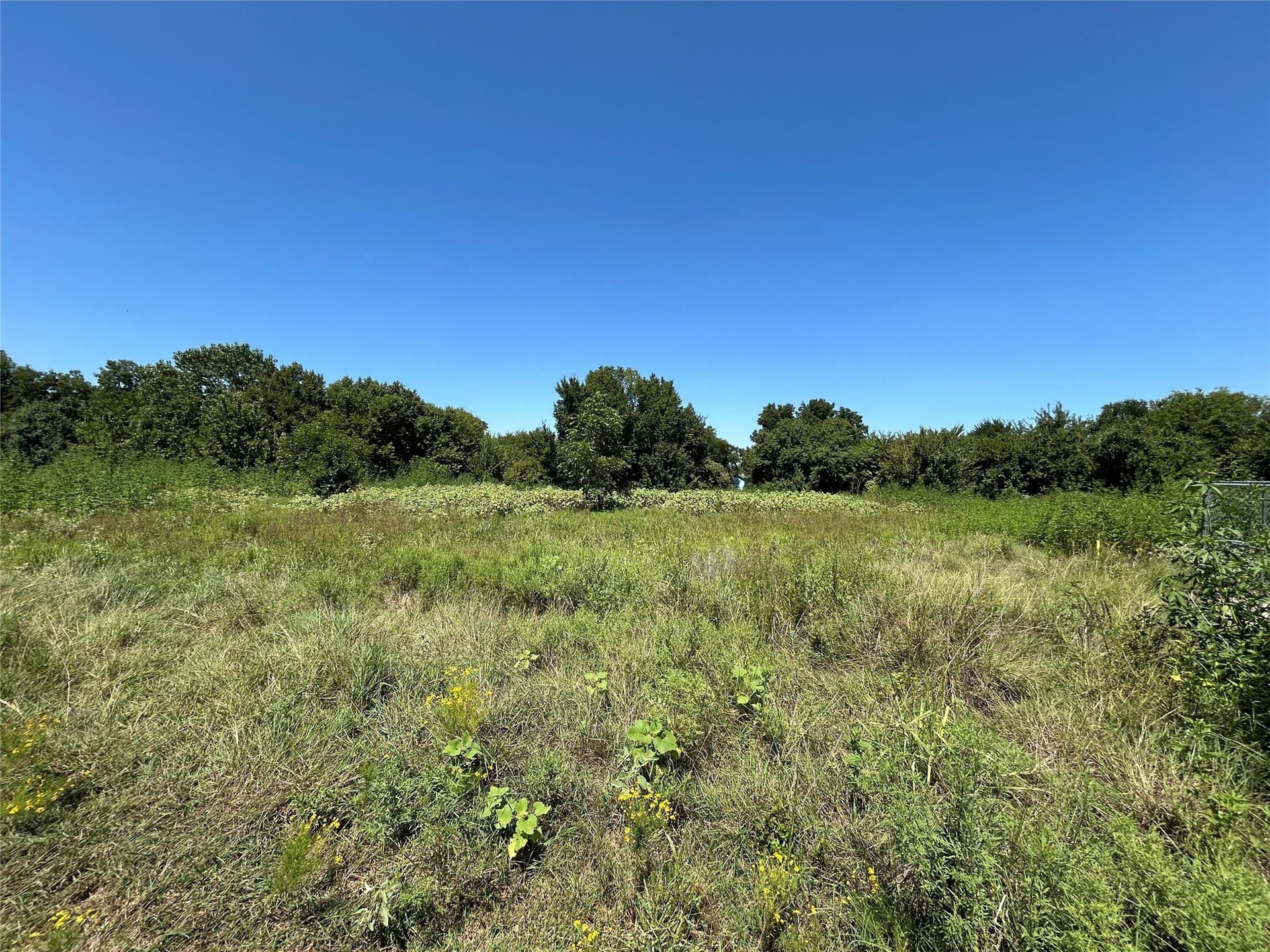 13.43 acres in Wise County - photo 4