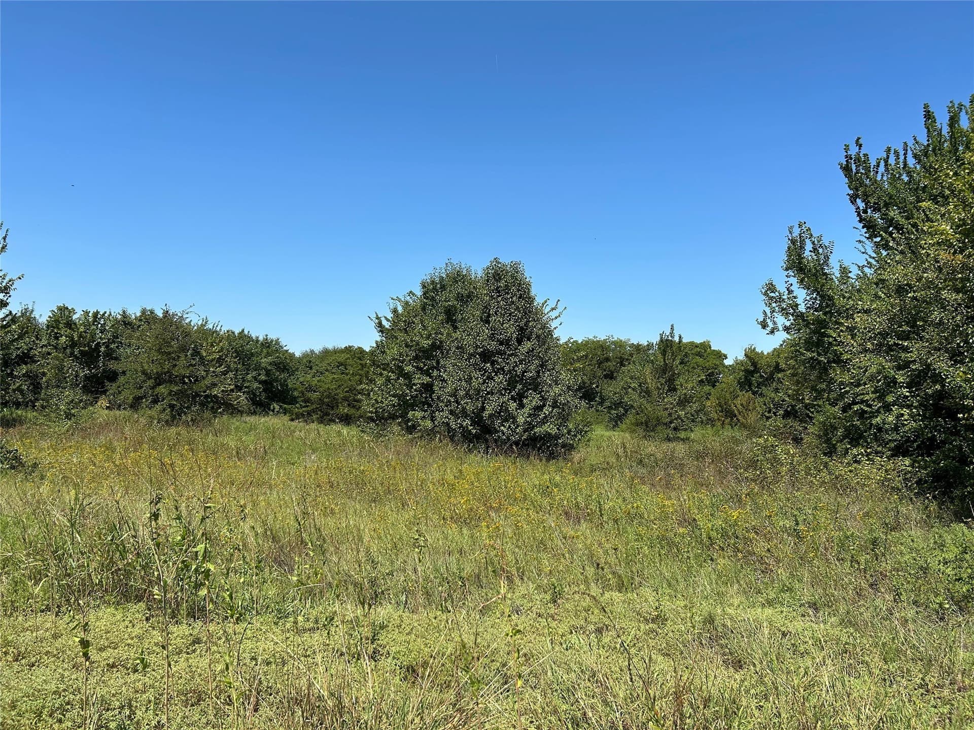 13.43 acres in Wise County - photo 13