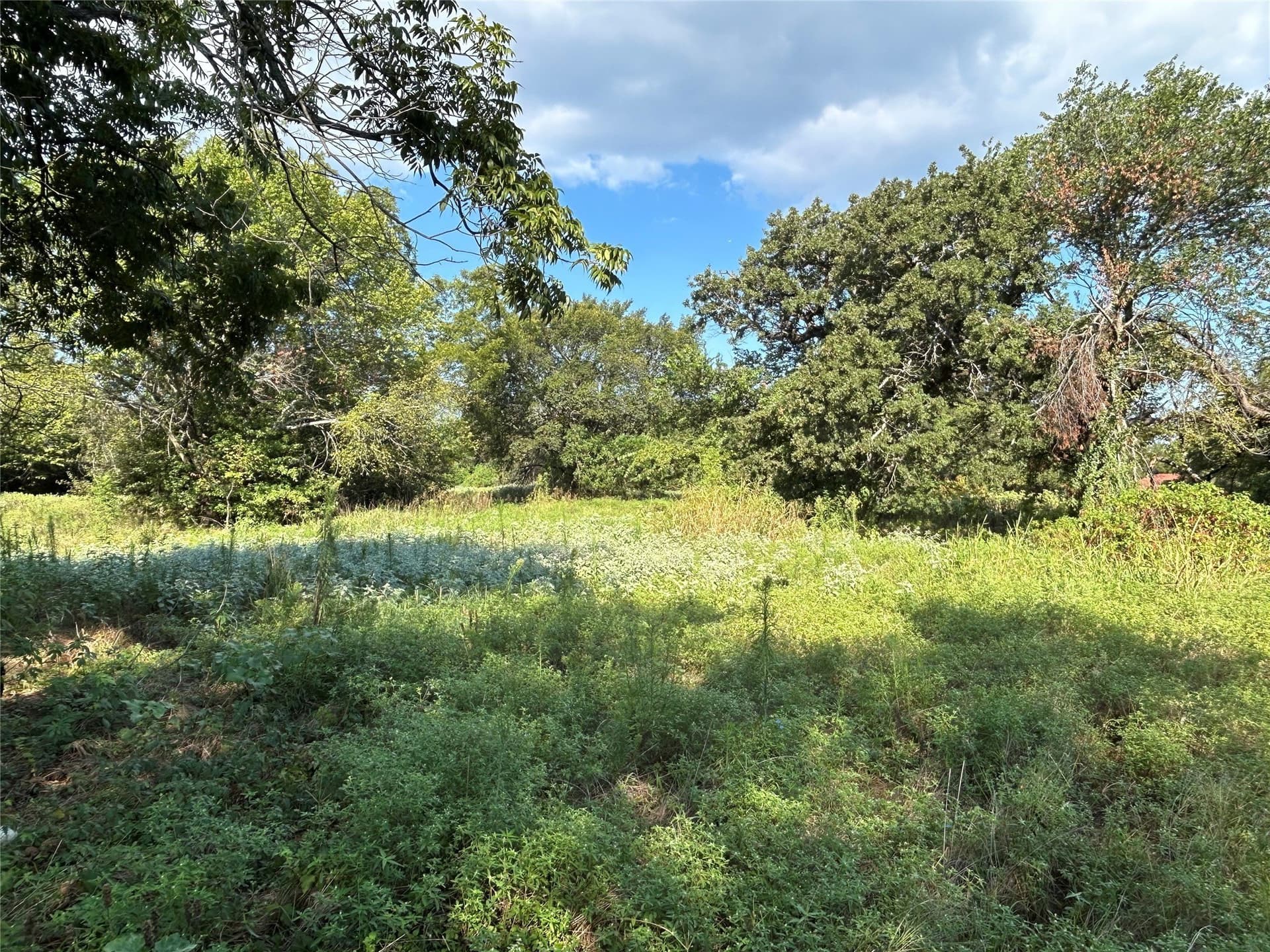 13.43 acres in Wise County - photo 3