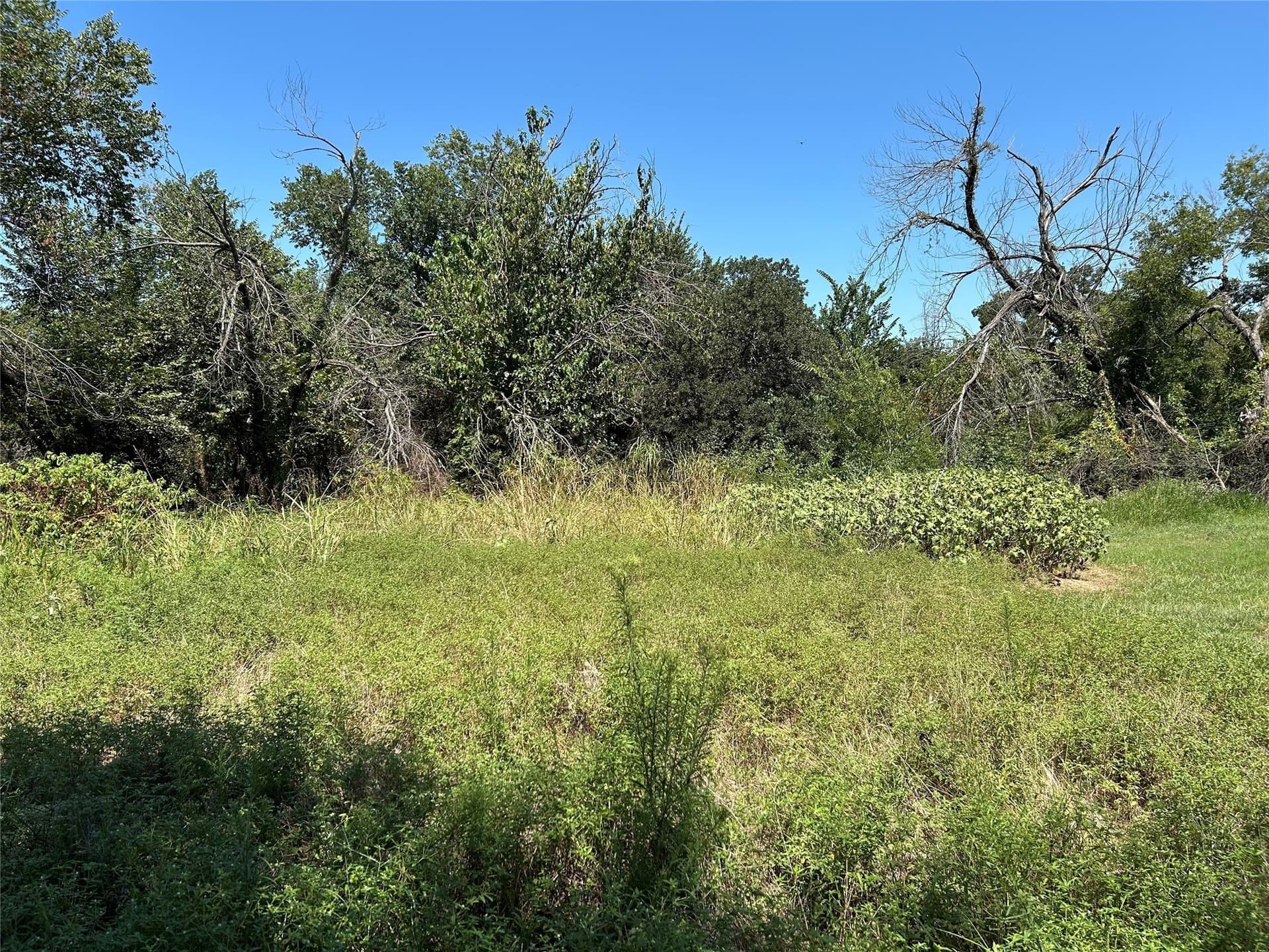 13.43 acres in Wise County - photo 11