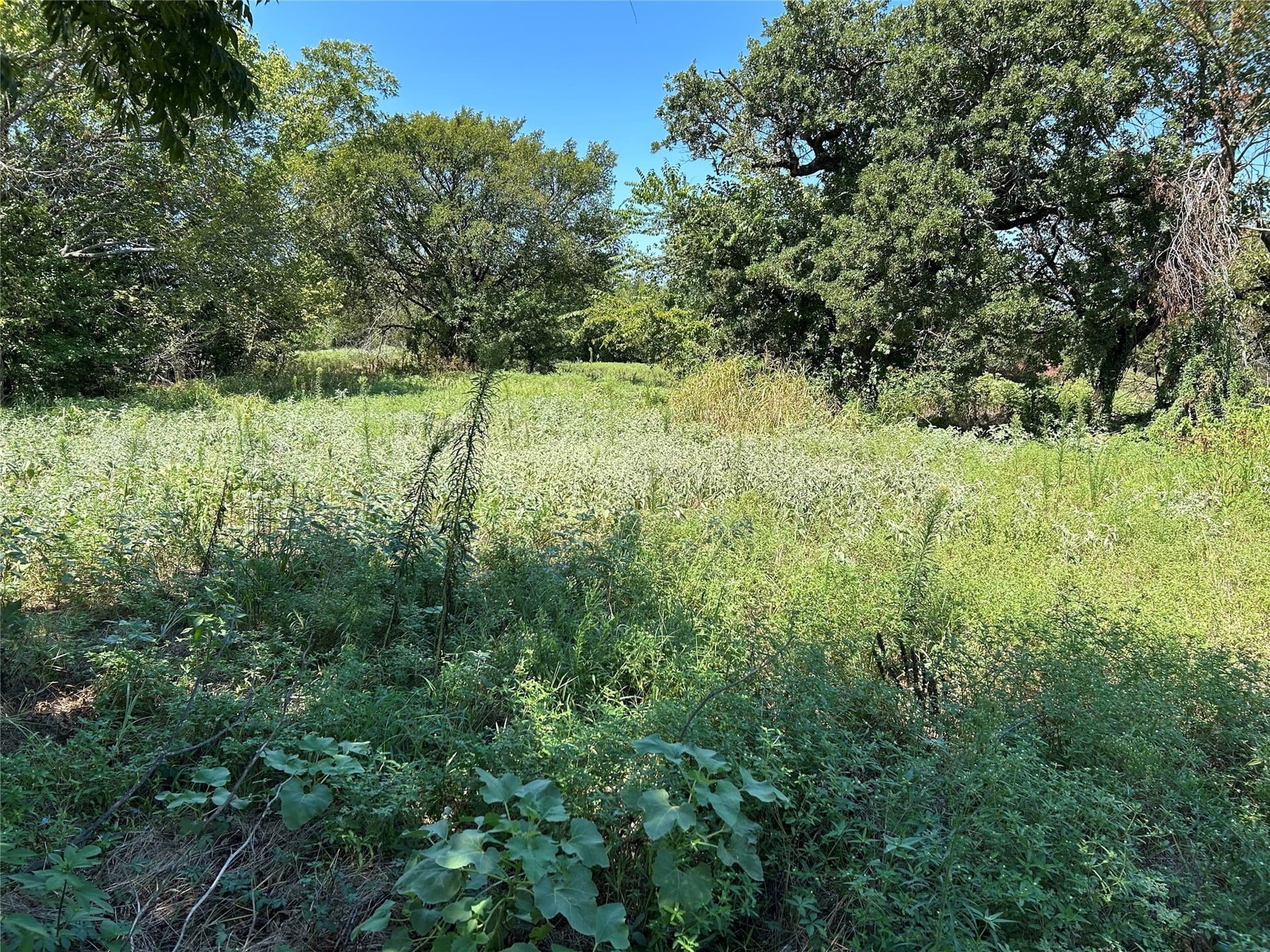 13.43 acres in Wise County - photo 10
