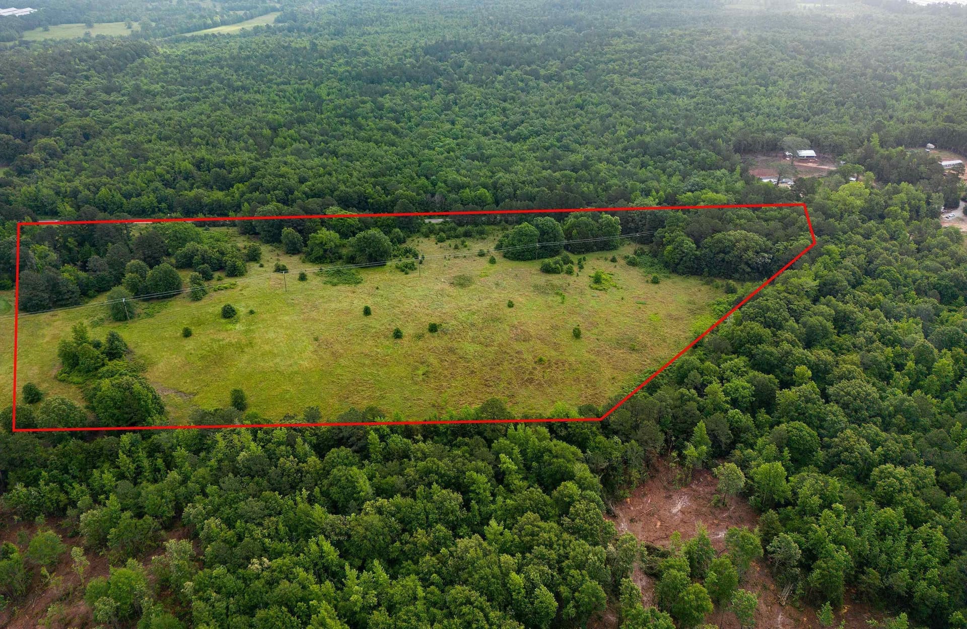 20 acres in Upshur County gallery image 2