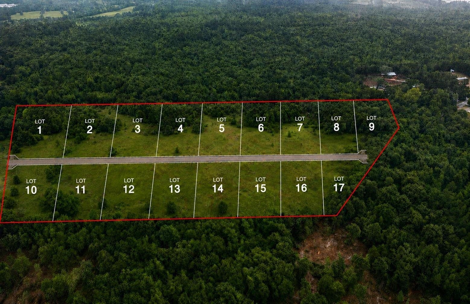 20 acres in Upshur County gallery image 4