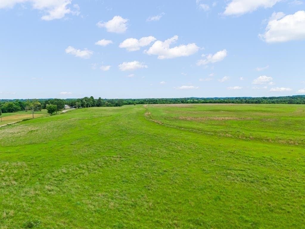 42 acres in Upshur County gallery image 4