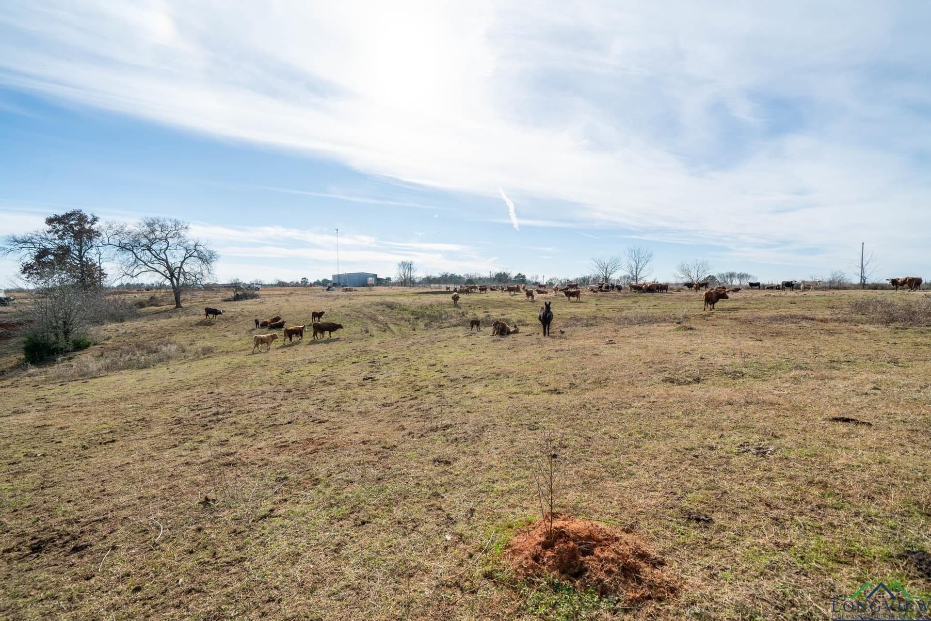 98.71 acres in Texas County gallery image 4