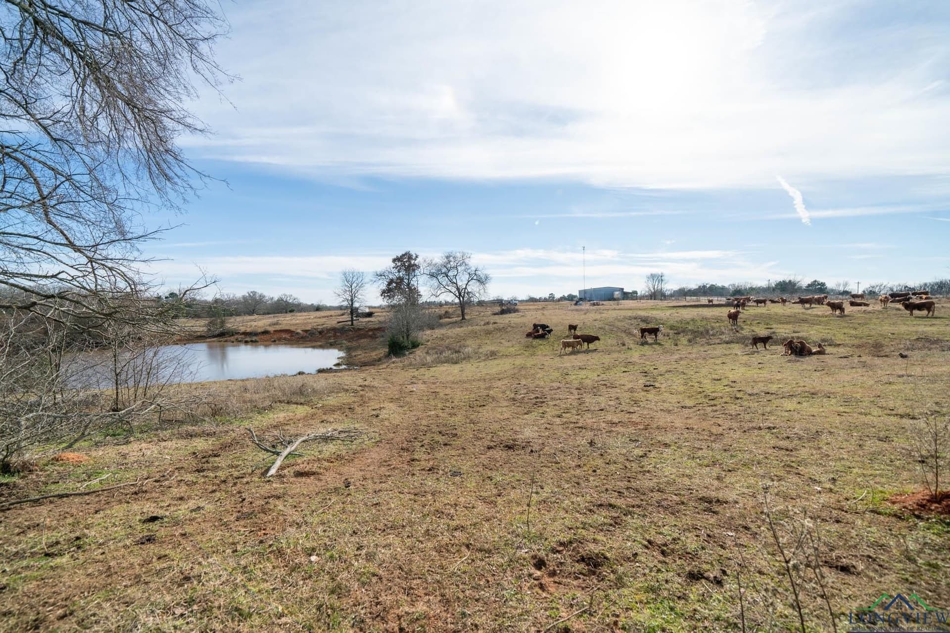 98.71 acres in Texas County