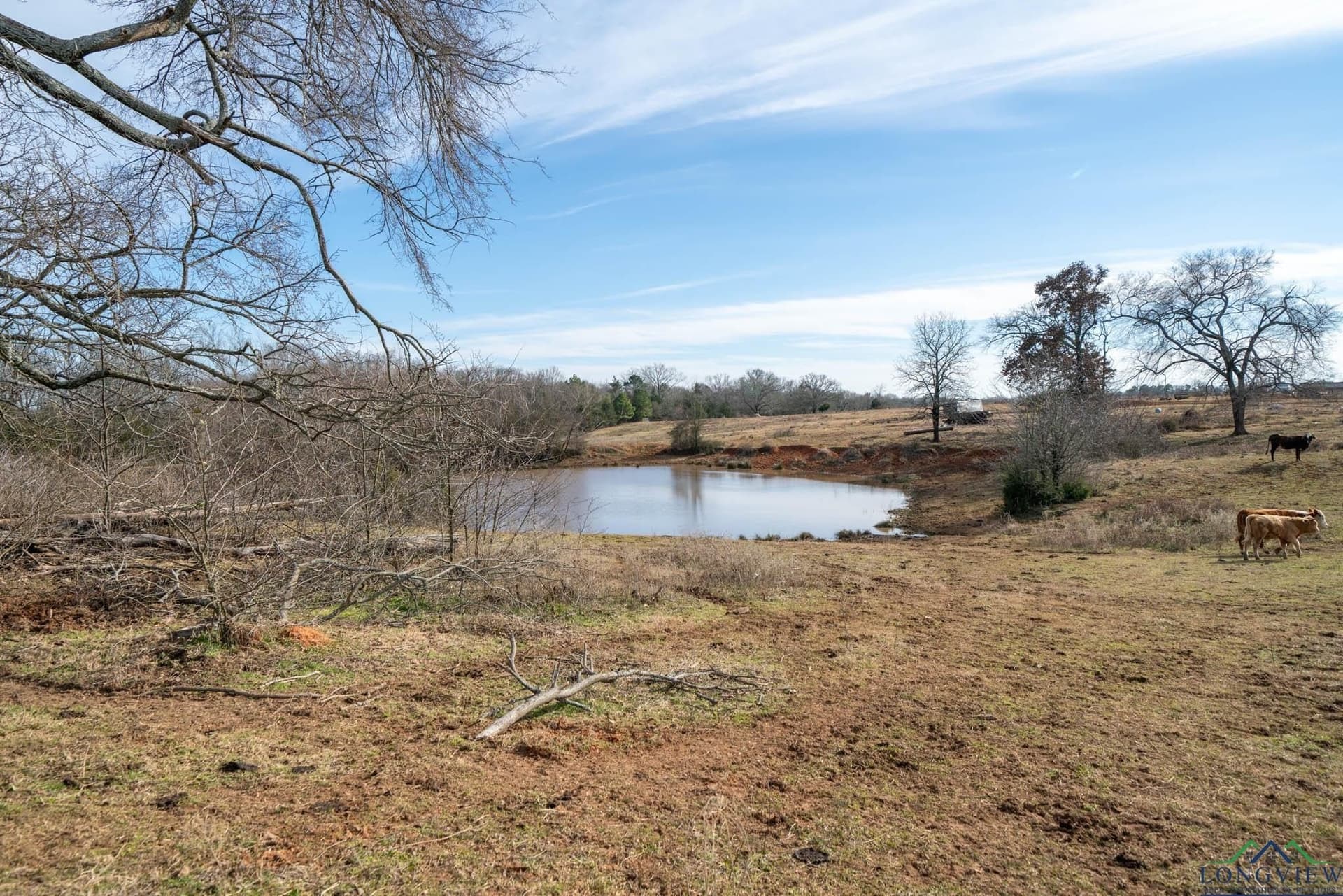98.71 acres in Texas County featured view