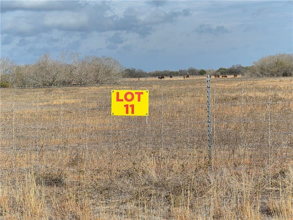 2.5 acres in Kleberg County gallery image 2