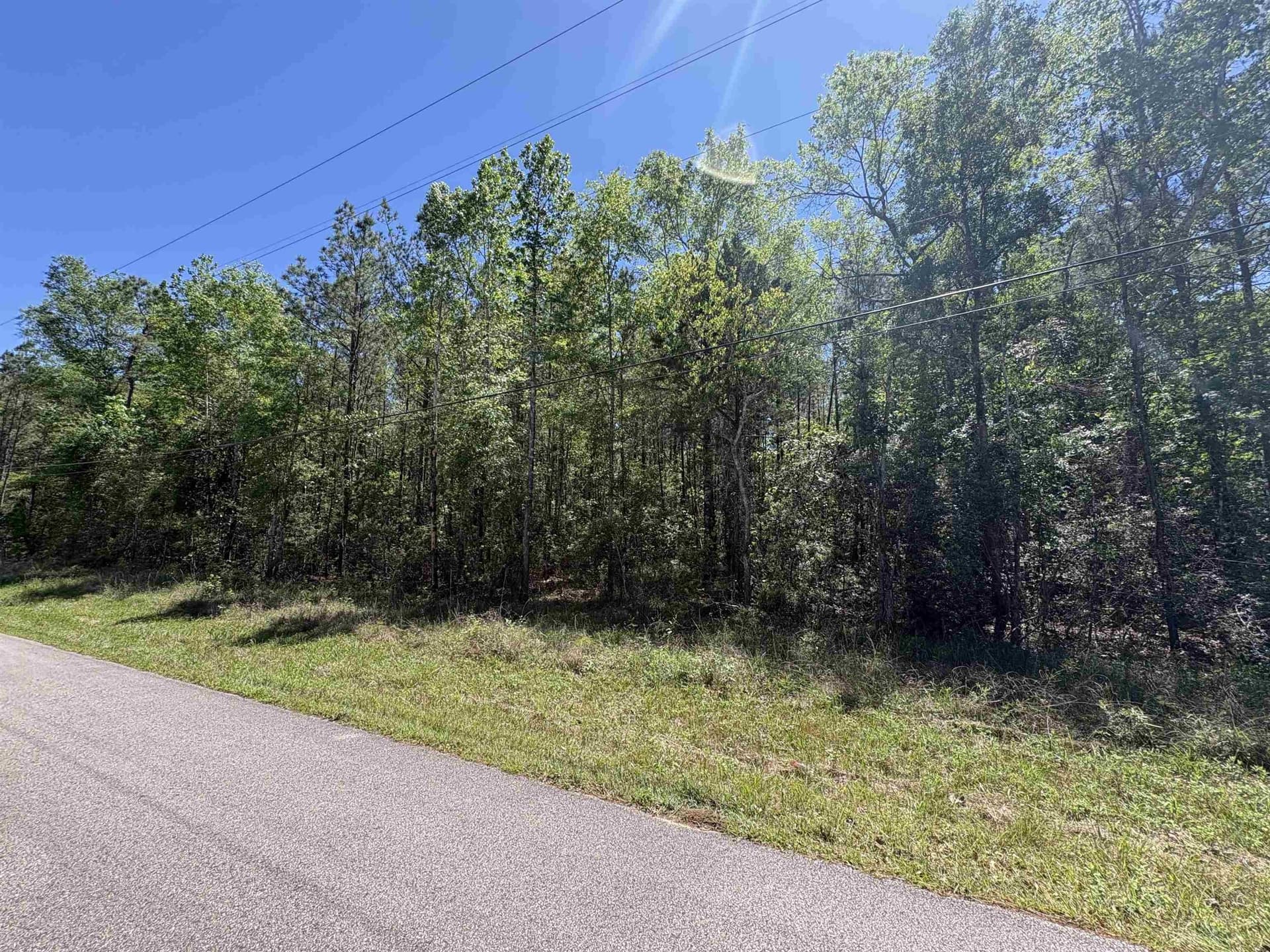 2.39 acres in Texas County gallery image 2