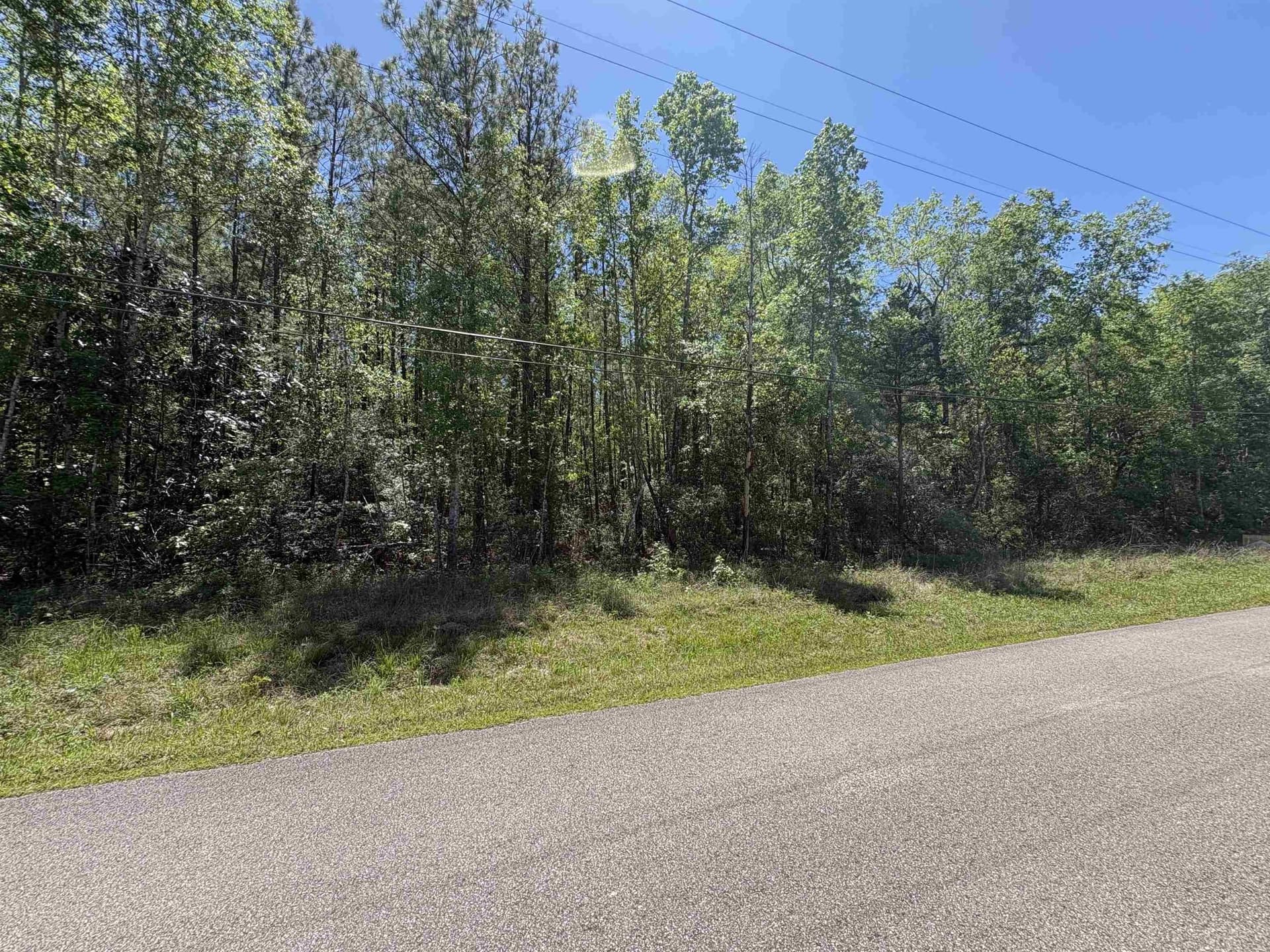 2.39 acres in Texas County gallery image 4