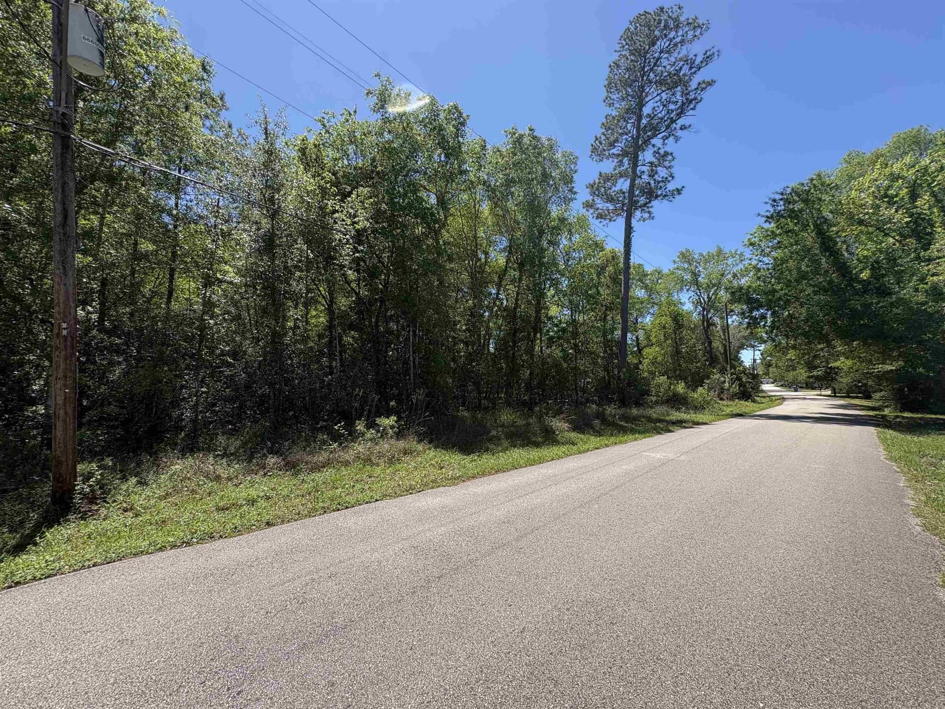 2.39 acres in Texas County gallery image 3