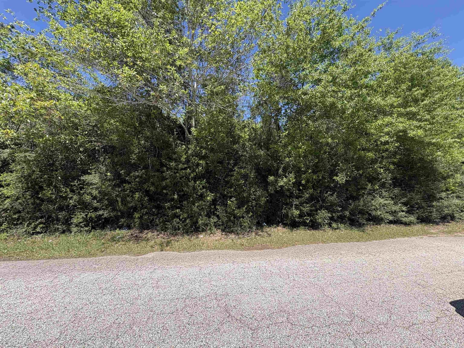 2.39 acres in Texas County featured view