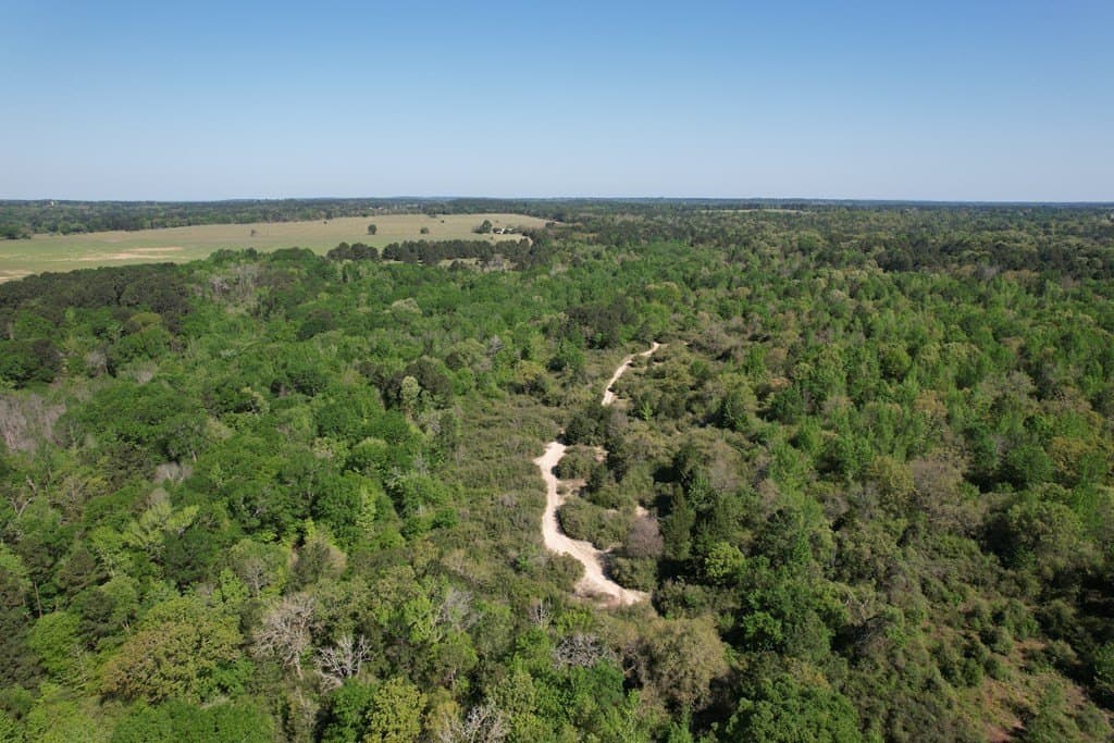 146.16 acres in Texas County - photo 21