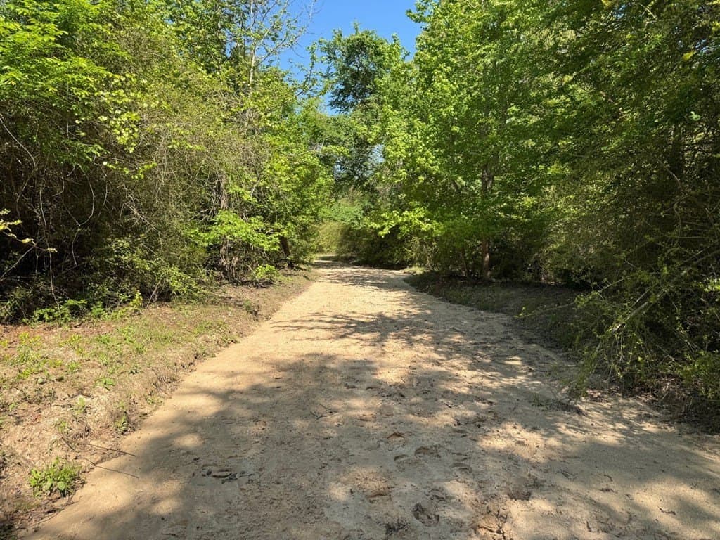 146.16 acres in Texas County - photo 25