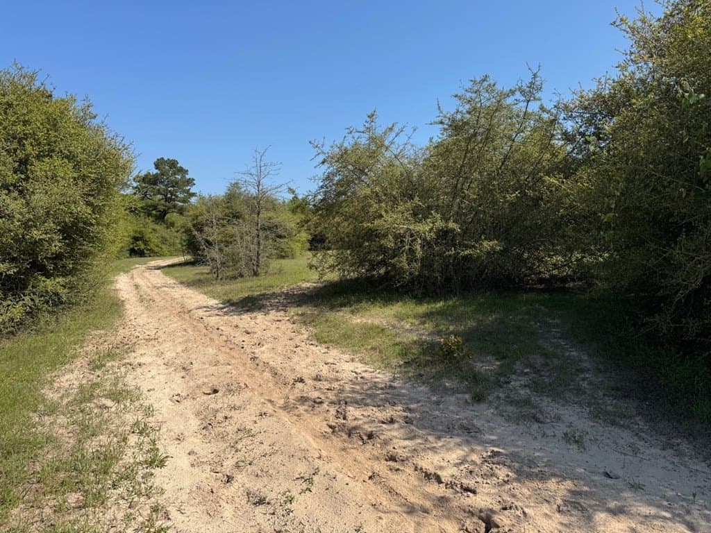 146.16 acres in Texas County - photo 26
