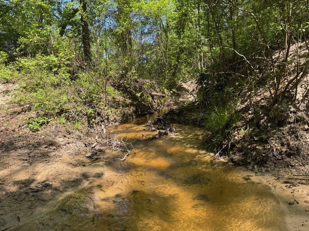 146.16 acres in Texas County - photo 9