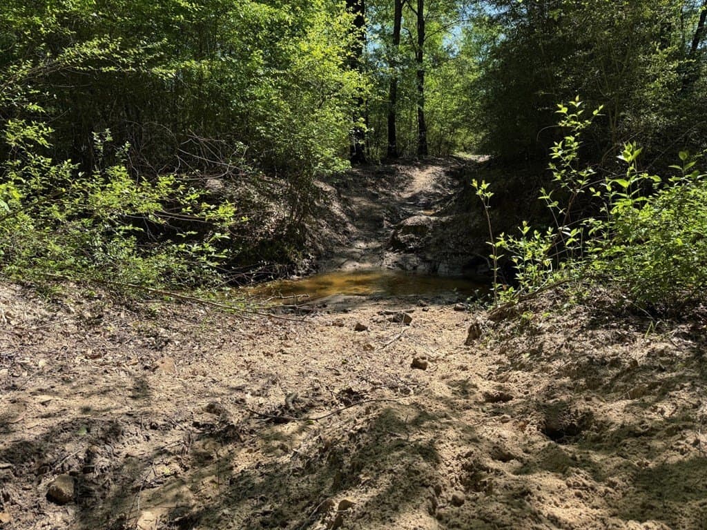 146.16 acres in Texas County - photo 28