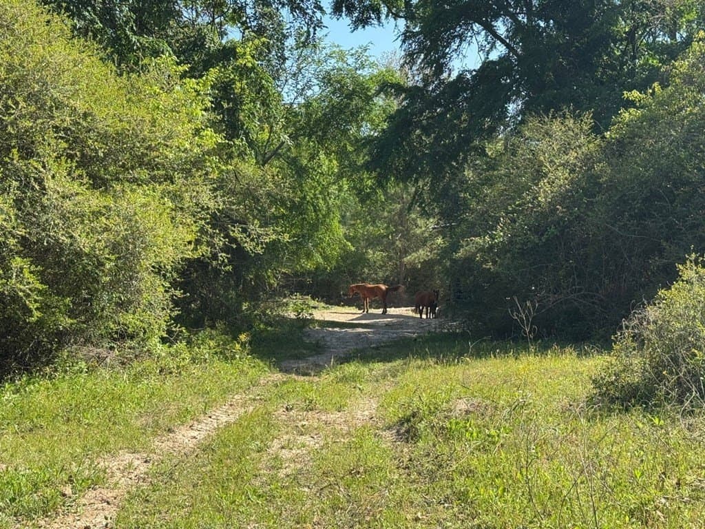 146.16 acres in Texas County - photo 24