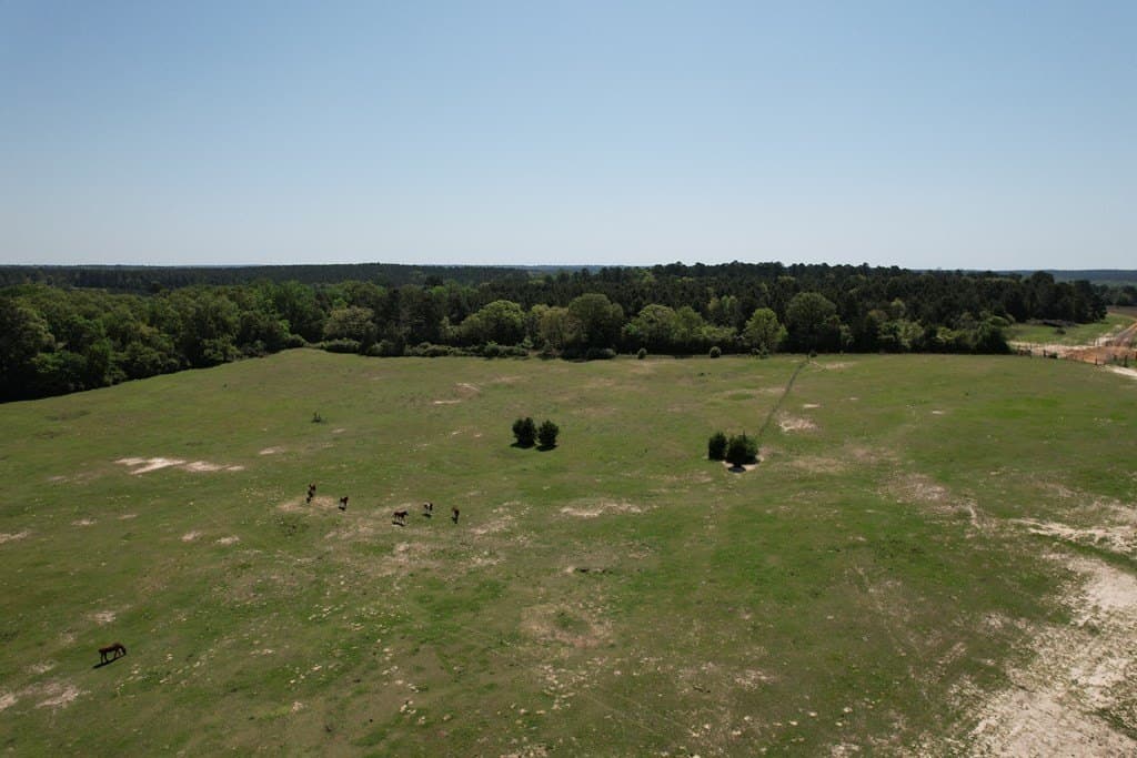 146.16 acres in Texas County - photo 16