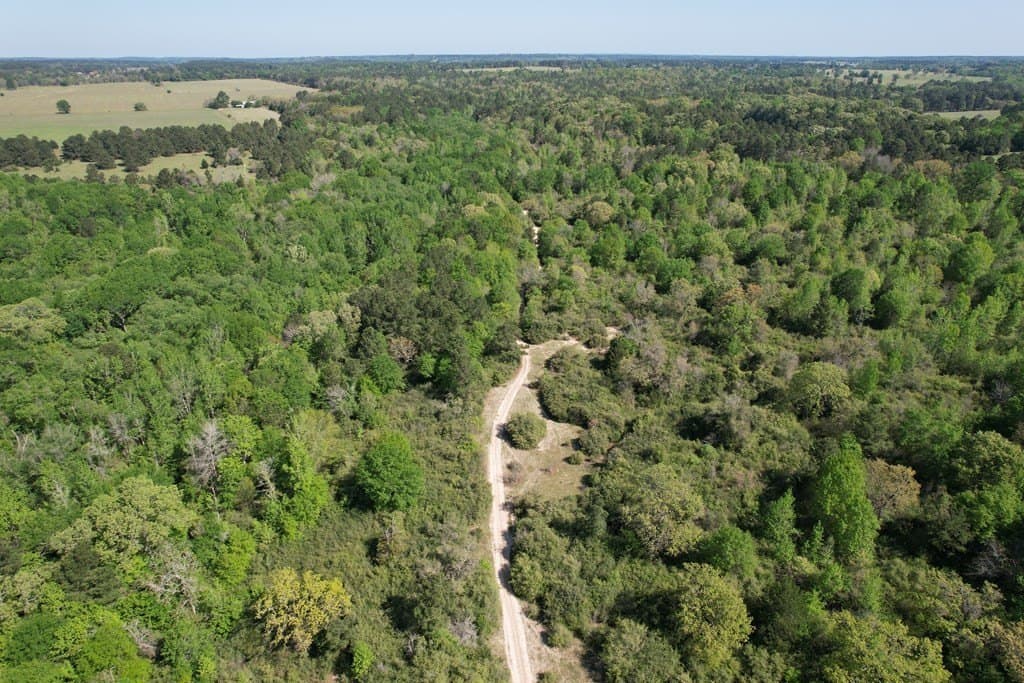 146.16 acres in Texas County - photo 22