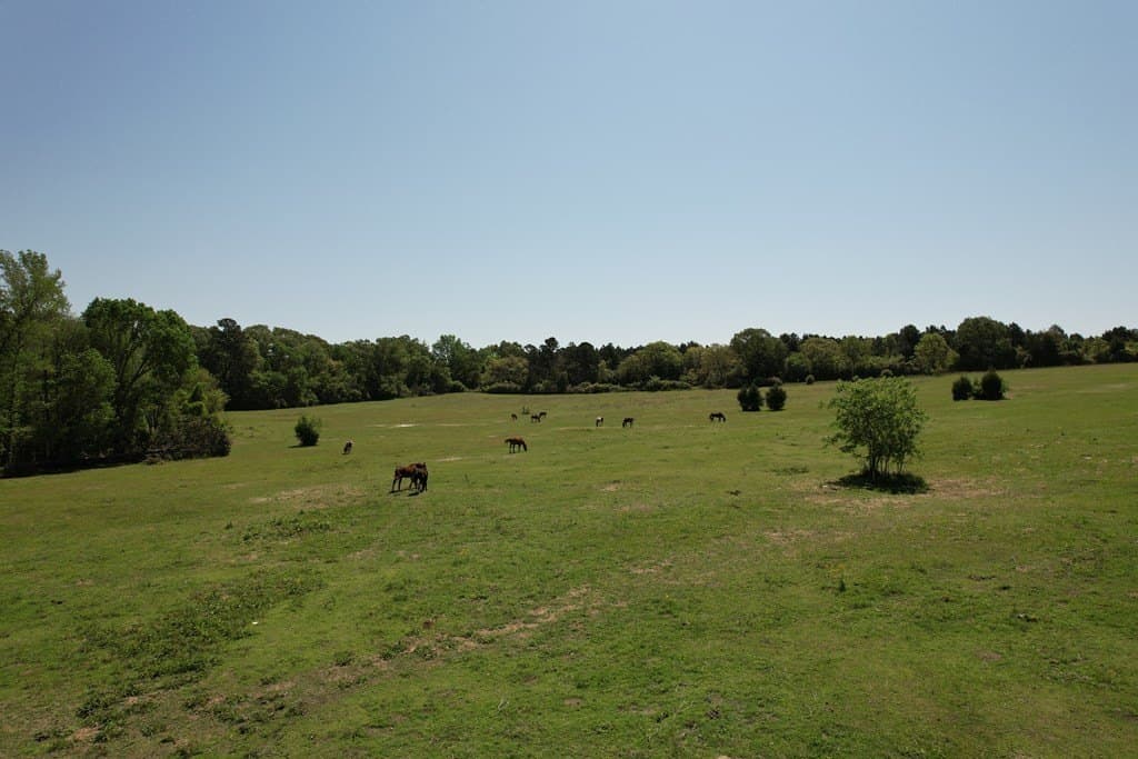 146.16 acres in Texas County - photo 13