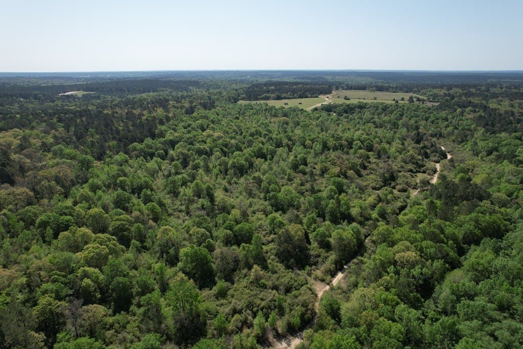 146.16 acres in Texas County featured view
