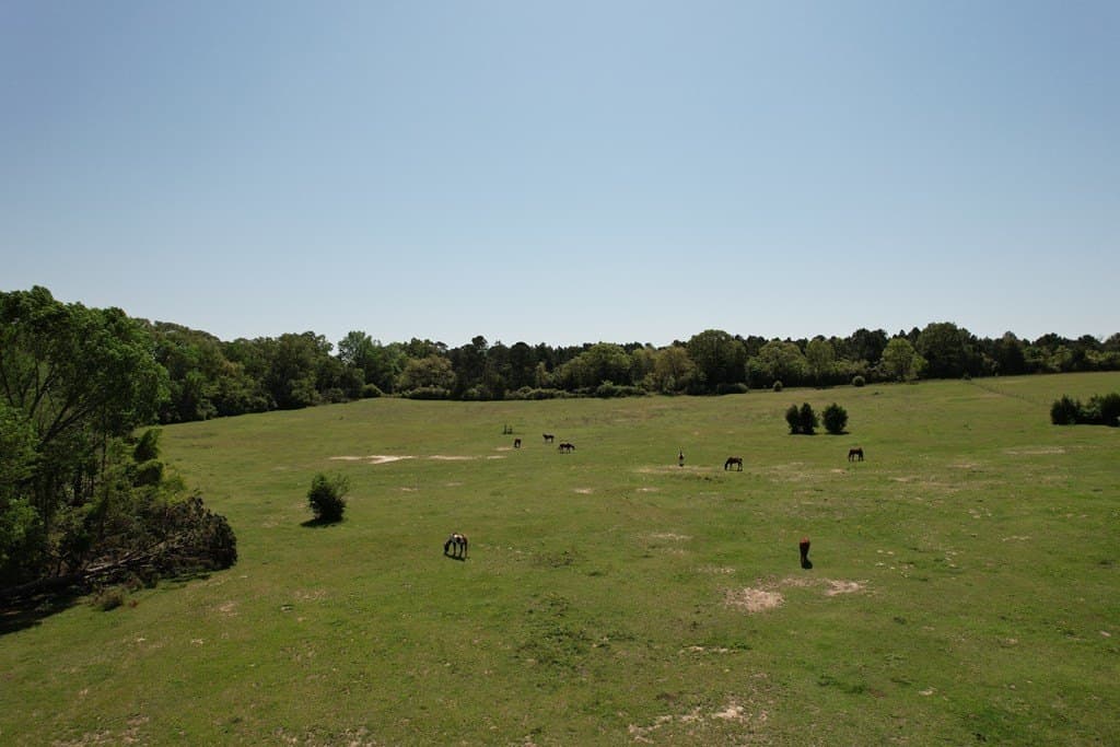 146.16 acres in Texas County - photo 14