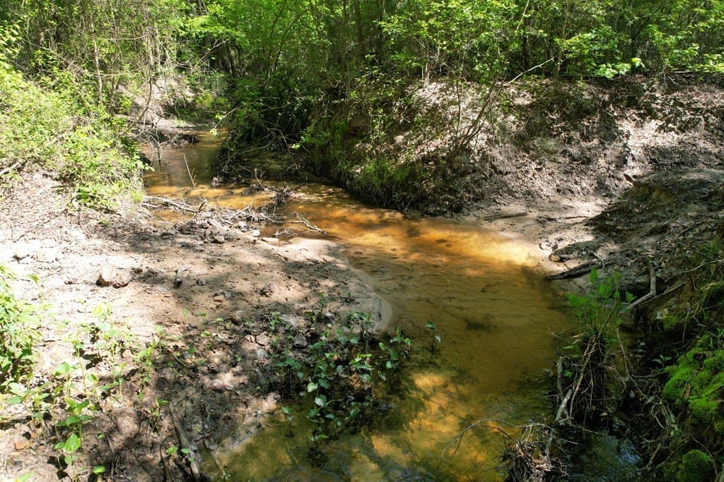 146.16 acres in Texas County - photo 6