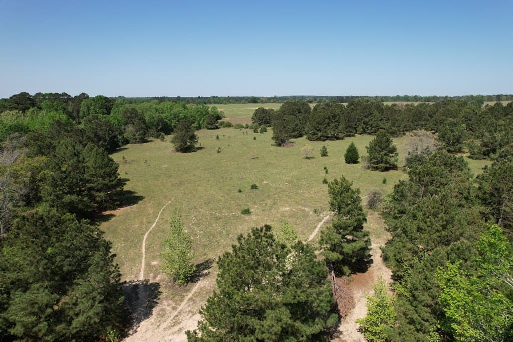 146.16 acres in Texas County - photo 10
