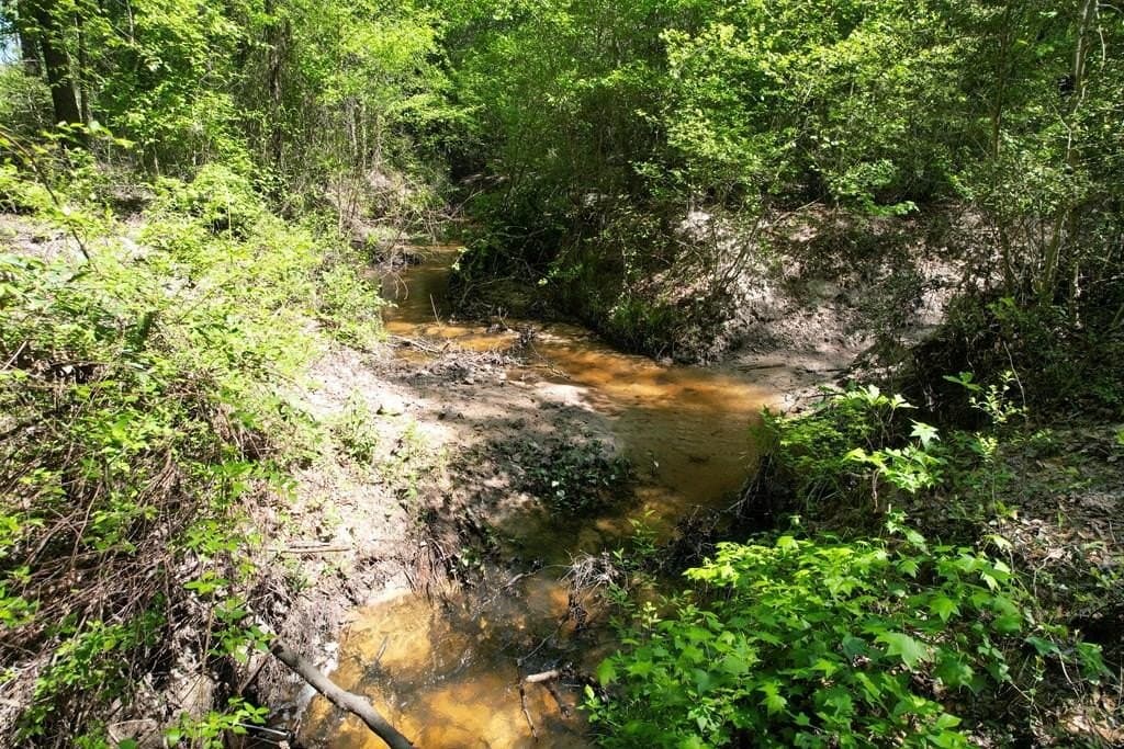 146.16 acres in Texas County