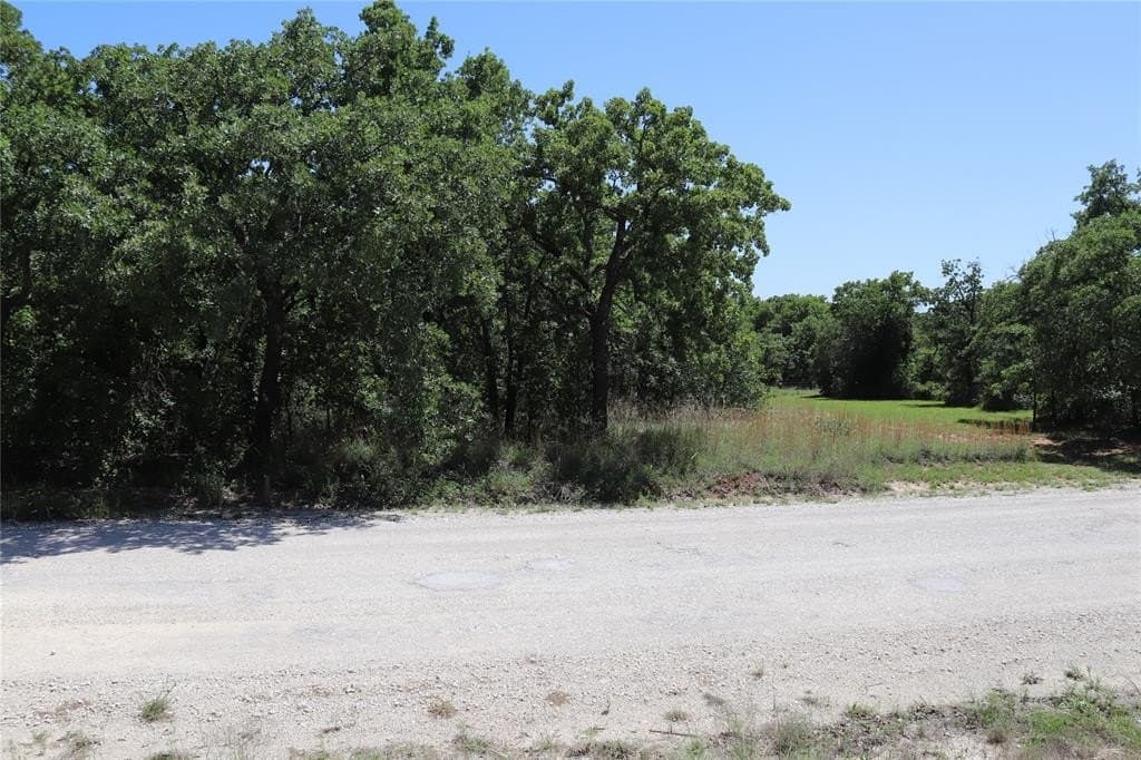 0.27 acres in Montague County gallery image 4