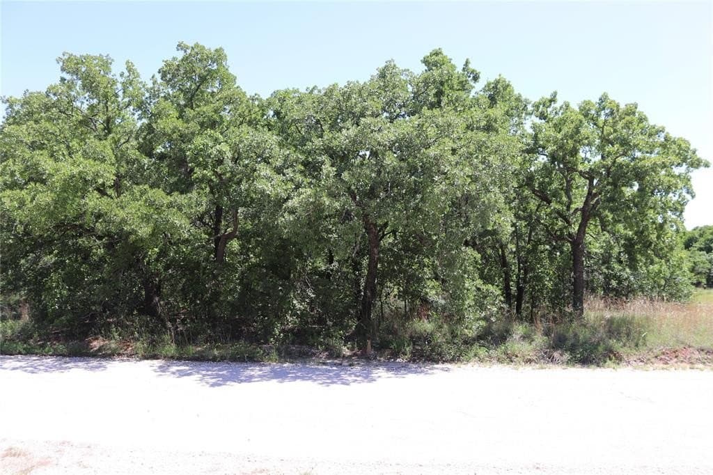 0.27 acres in Montague County featured view